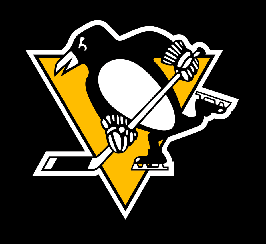 Pittsburgh Penguins 2014-2016 Throwback Logo t shirts DIY iron ons